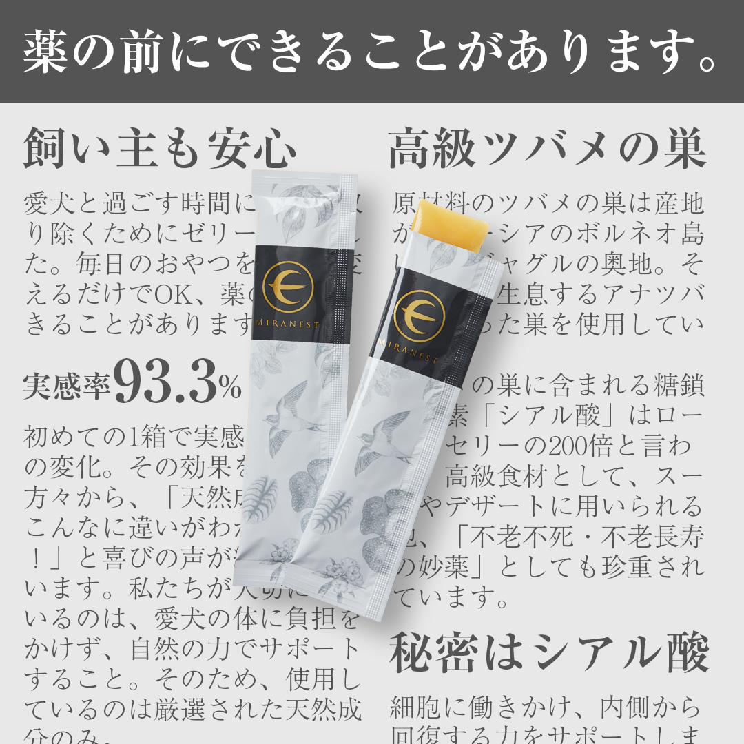 愛犬の「カイカイ問題」に、答えをくれた「ツバメの巣」