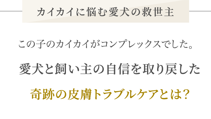 【カイカイに悩む愛犬の救世主】この子のカイカイがコンプレックスでした。愛犬と飼い主の自信を取り戻した奇跡の皮膚トラブルケアとは？