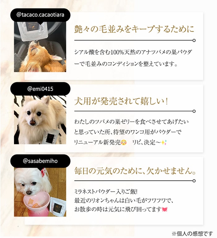 愛犬の健康・脱毛悩みの救世主】13歳の愛犬が病気で薄毛に。そこから