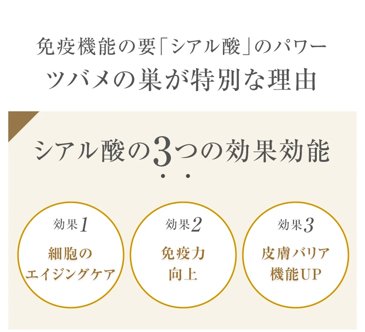 免疫機能の要「シアル酸」のパワー