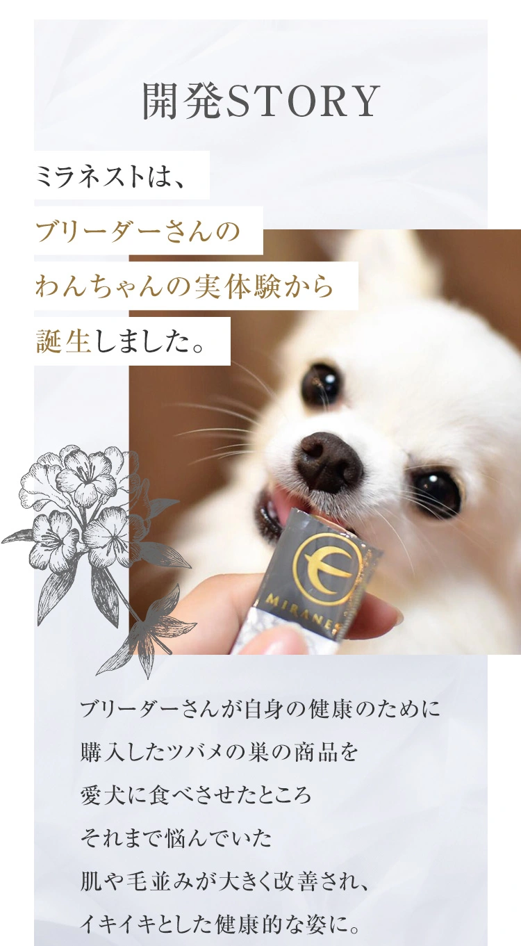 BI-SUご愛用者のわんちゃんの実体験