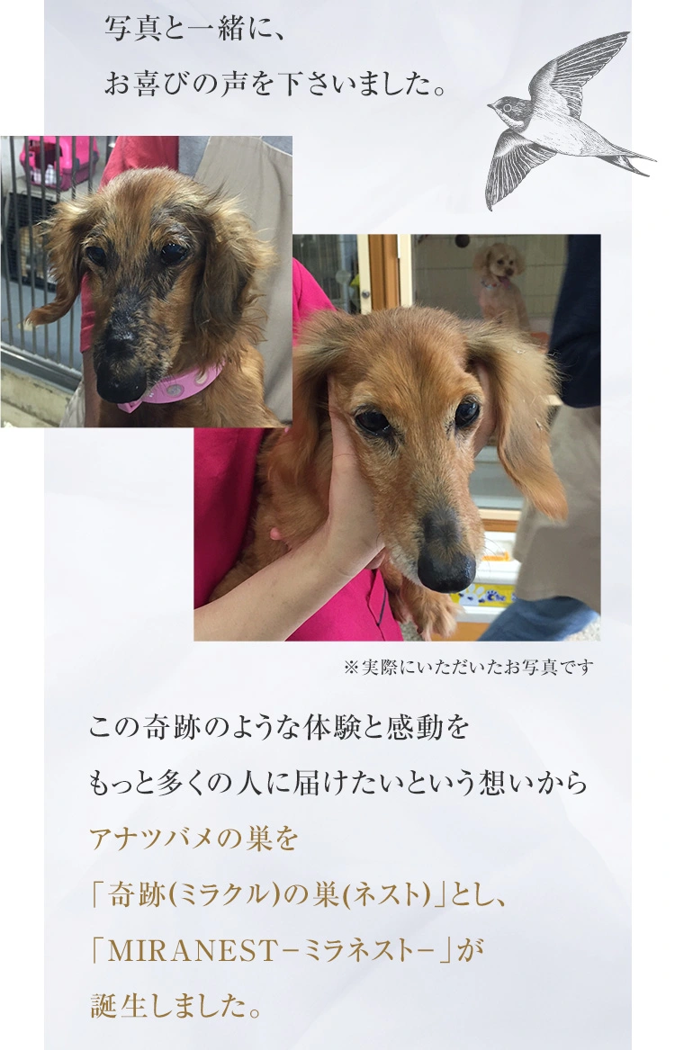 奇跡のような体験