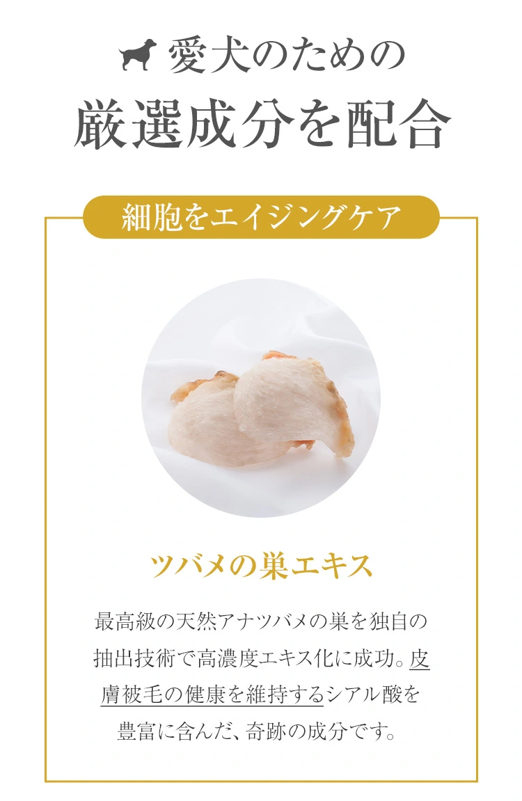 愛犬のための厳選成分を配合：細胞をエイジングケア