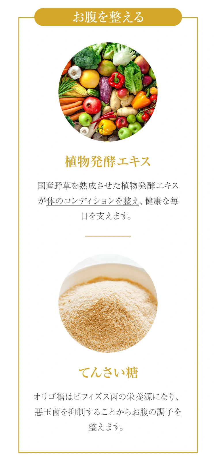 愛犬のための厳選成分を配合：お腹を整える