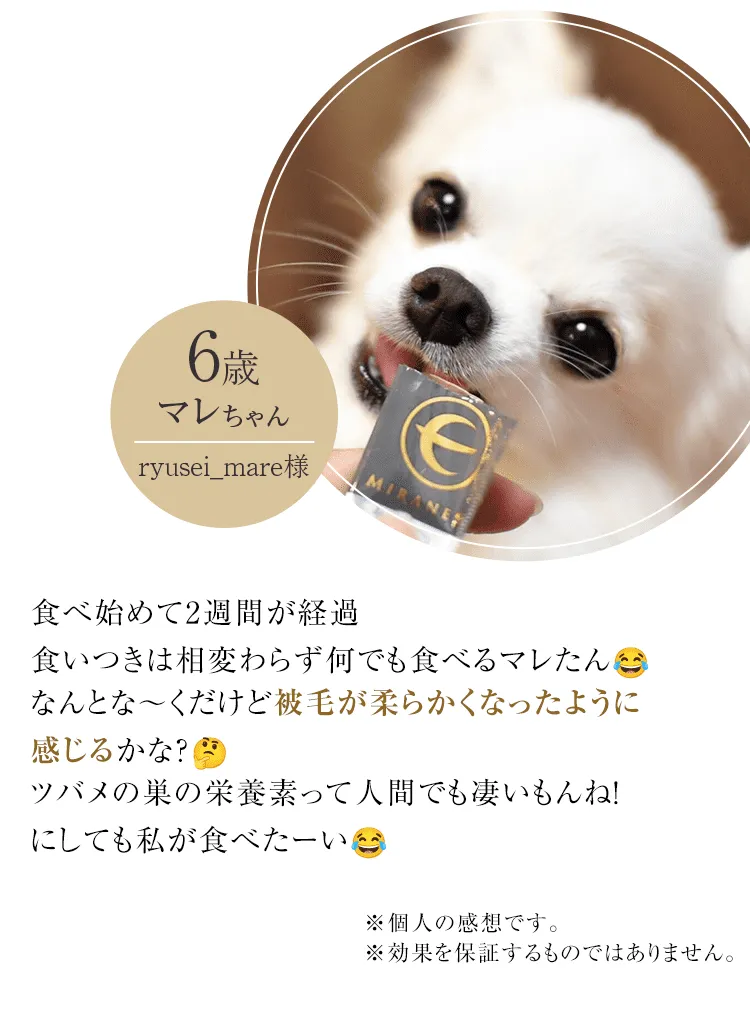 2週間で変化を感じました‼