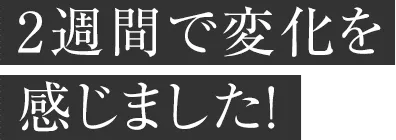 食べ始めて2週間が経過食いつきは相変わらず何でも食べるマレたん なんとな〜くだけど被毛が柔らかくなったように感じるかな？
                    ツバメの巣の栄養素って人間でも凄いもんね！にしても私が食べたーい