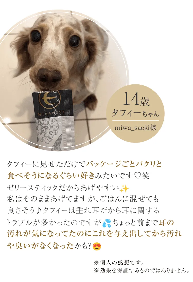 気づけば耳の汚れや匂いが…！