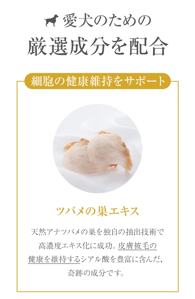 愛犬のための厳選成分を配合：細胞をエイジングケア