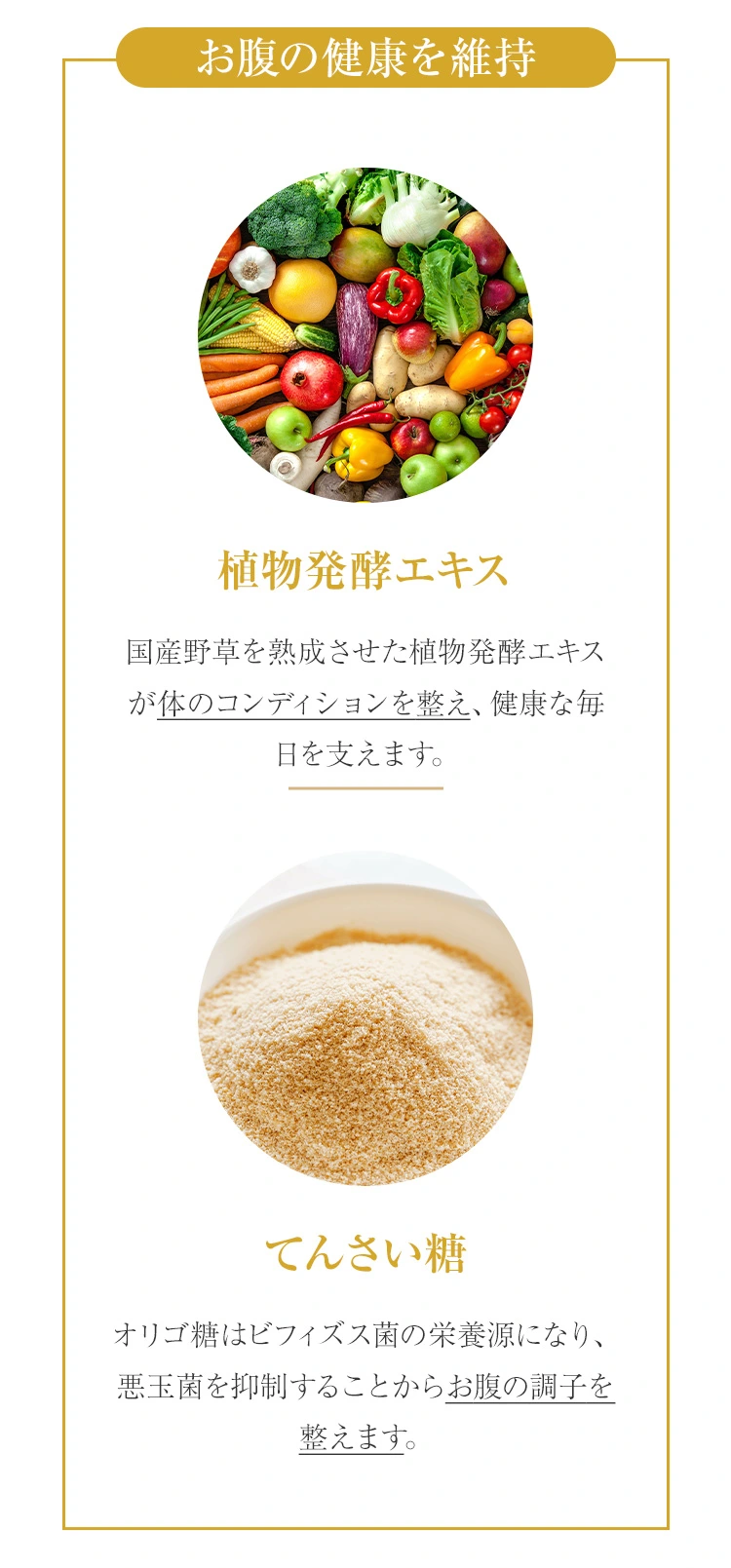 愛犬のための厳選成分を配合：お腹を整える