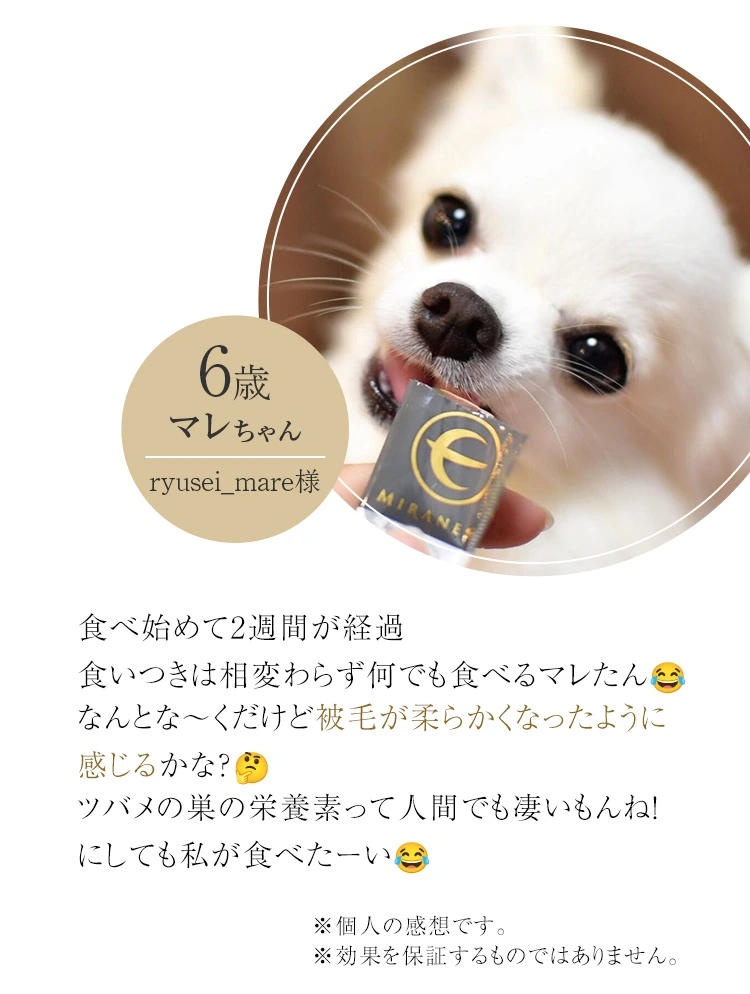 愛犬のための厳選成分を配合：細胞をエイジングケア