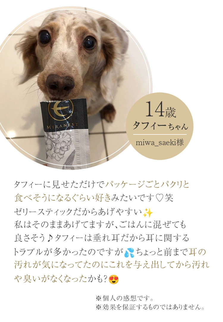 愛犬のための厳選成分を配合：細胞をエイジングケア