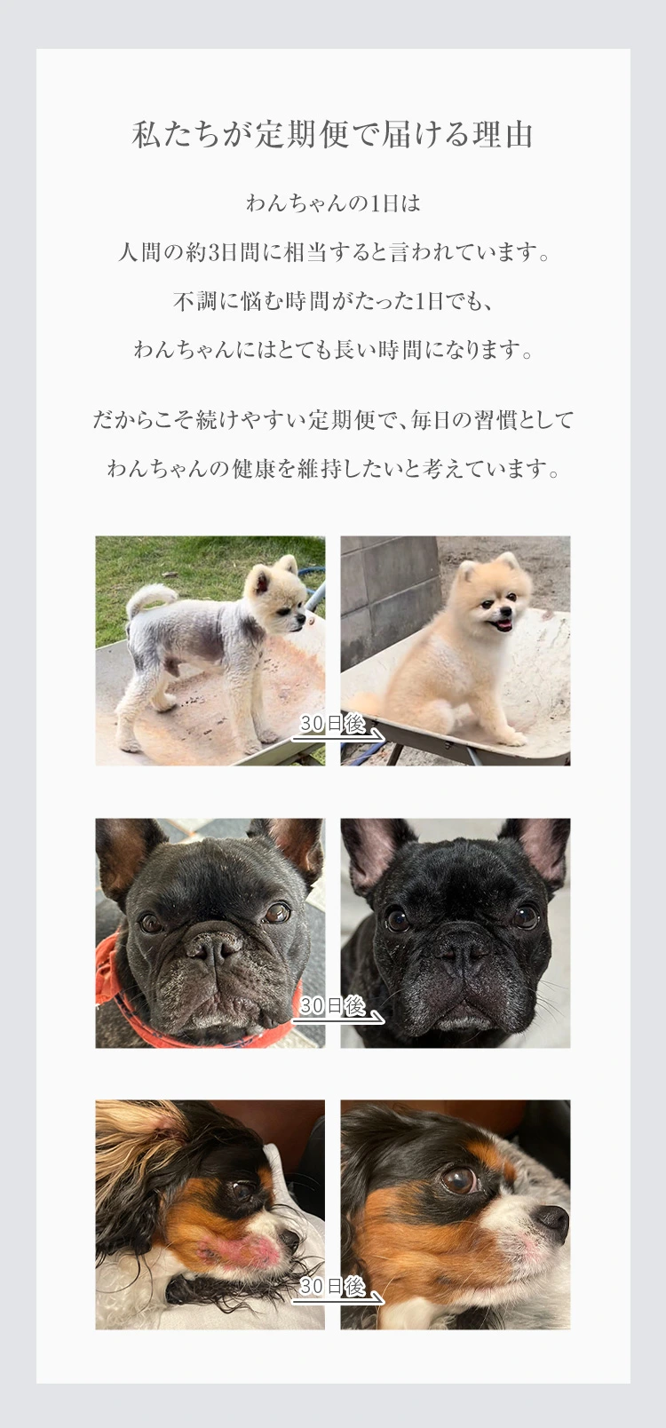 愛犬のための厳選成分を配合：細胞をエイジングケア