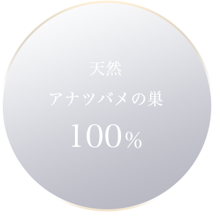 cranberry クランベリ
