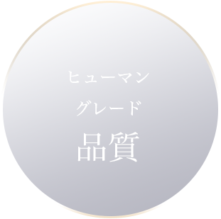 cranberry クランベリ