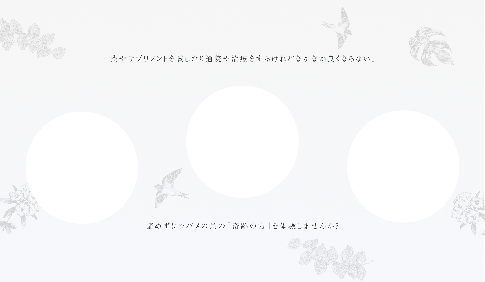 cranberry クランベリ