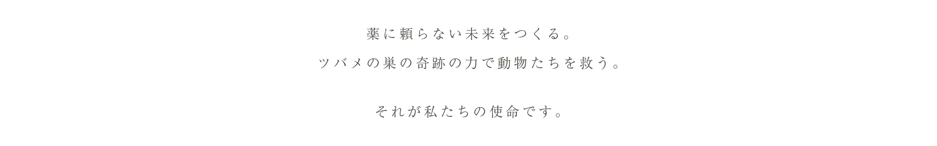 cranberry クランベリ