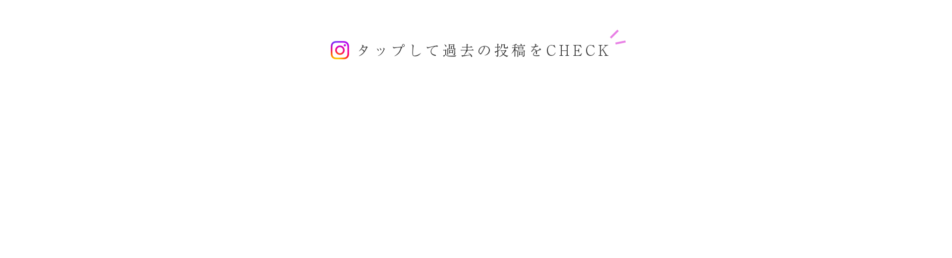 cranberry クランベリ