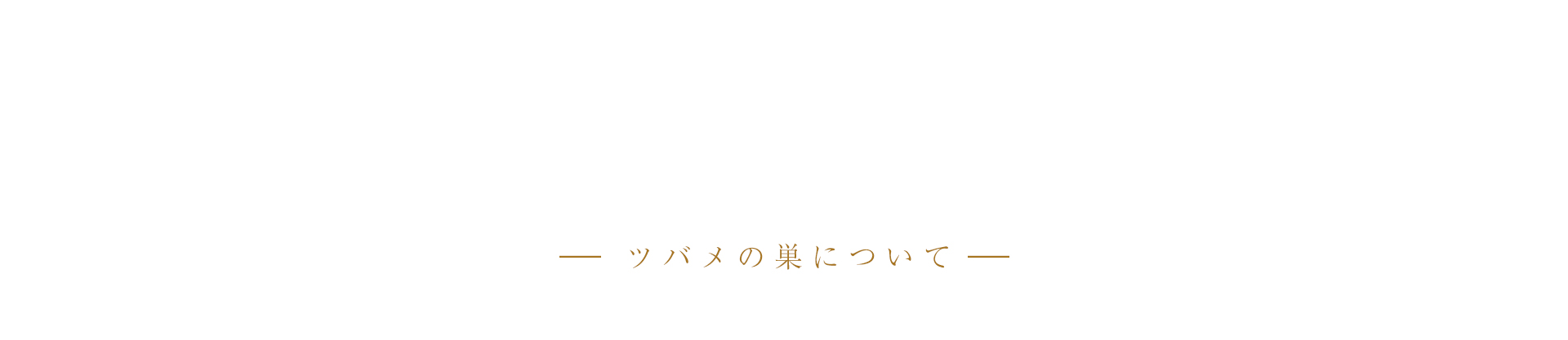cranberry クランベリ