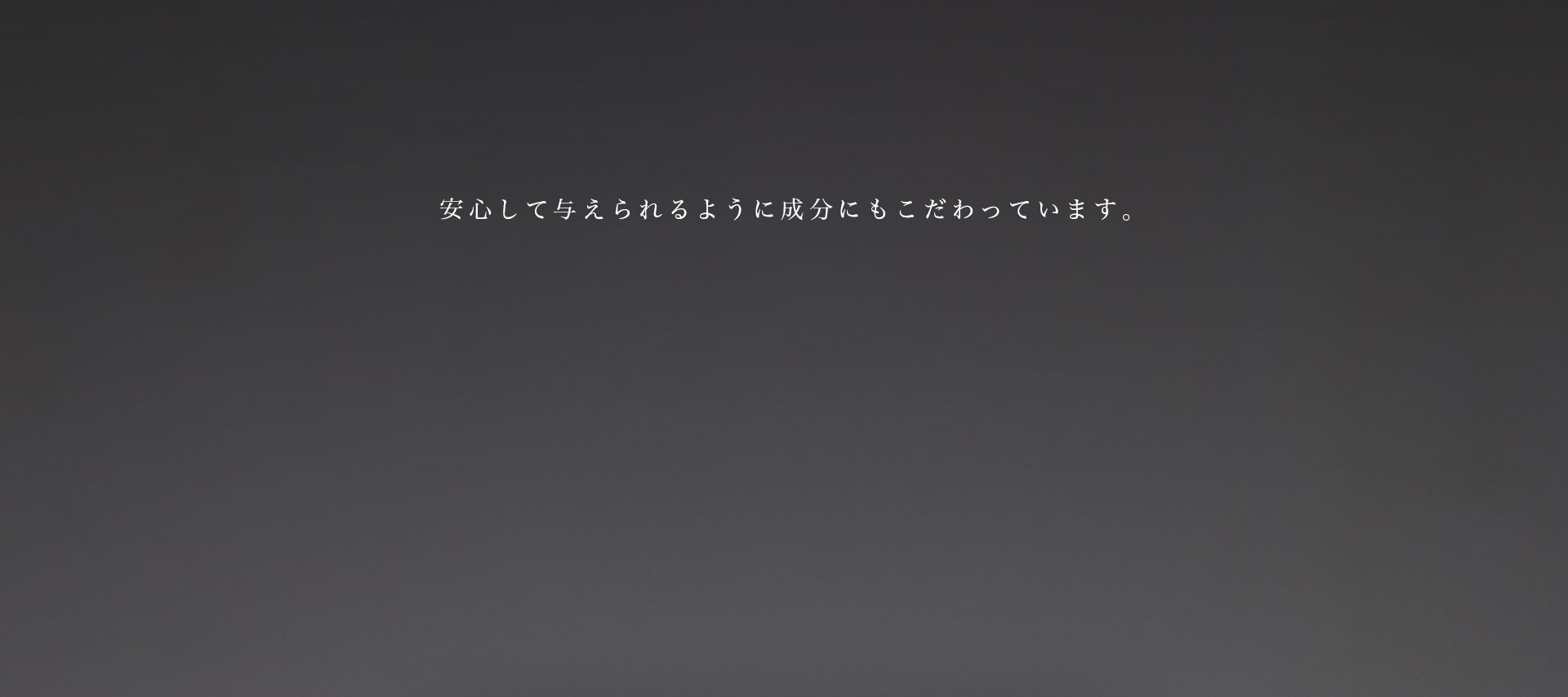 cranberry クランベリ