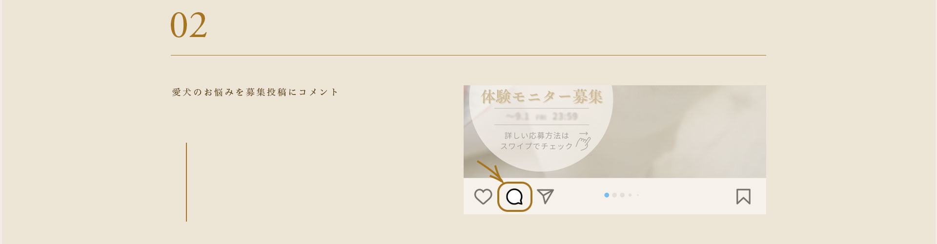 cranberry クランベリ