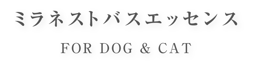 product_name
