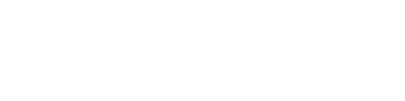 product_name