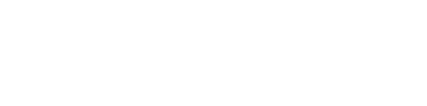 product_name