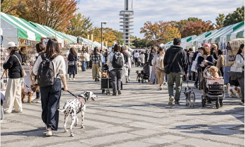多くの来場者と愛犬でにぎわう駒沢わんこ祭の会場イメージ