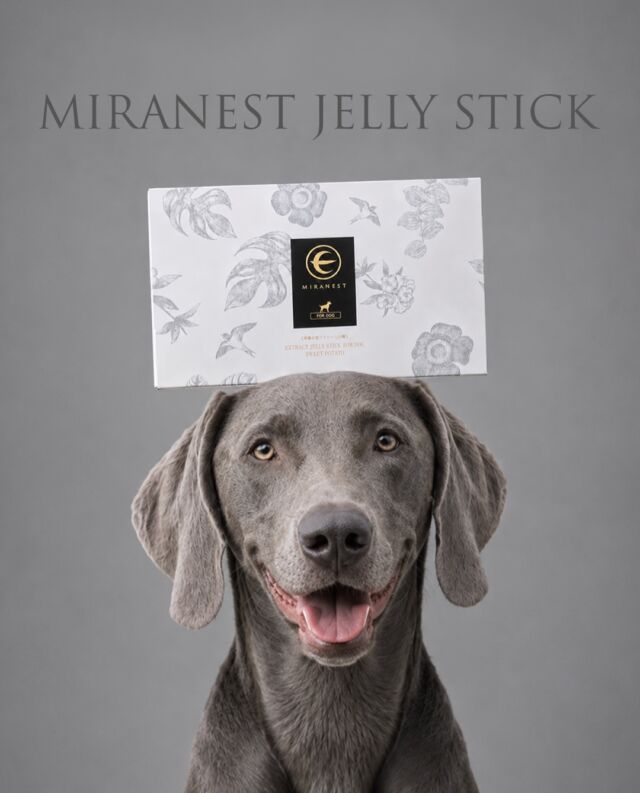 MIRANEST | 薬に頼らない未来をつくる。ツバメの巣の「奇跡の力」で